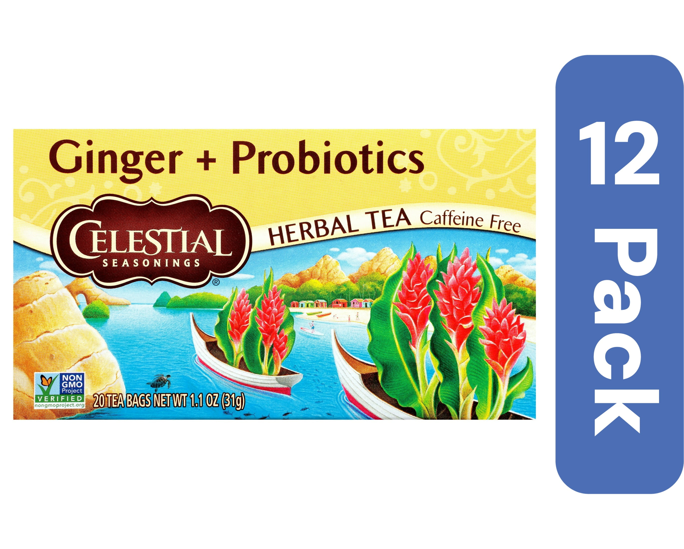 Celestial Seasonings Herbal Tea Ginger Probiotic 16 Bags (Pack of 12 ...