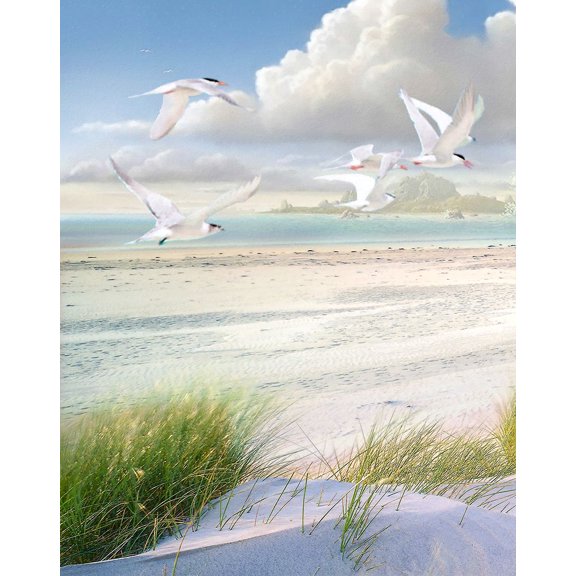 Celestial Tern I Poster Print - Steve Hunziker (18 x 24)