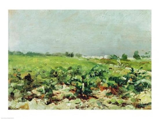 Celeyran View of the Vineyard 1880 Canvas Art - Henri de Toulouse-Lautrec (36 x 24)