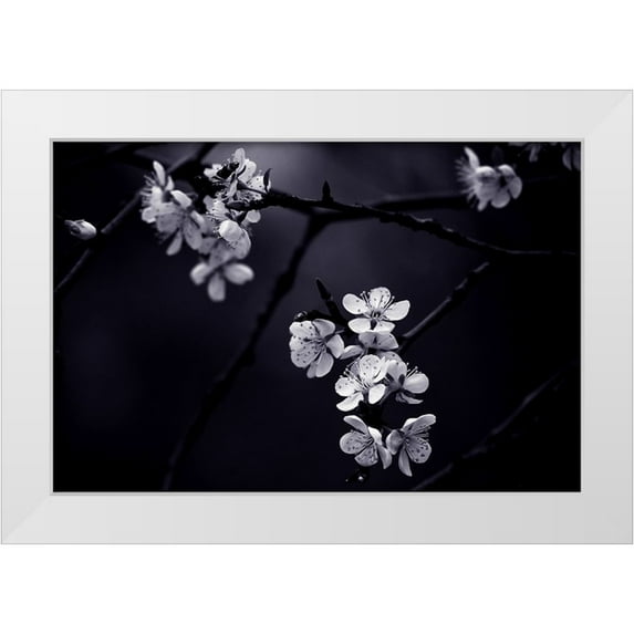 CelineM 32x23 White Modern Wood Framed Museum Art Print Titled - Qpetite Fleur De Mes Nuitsq