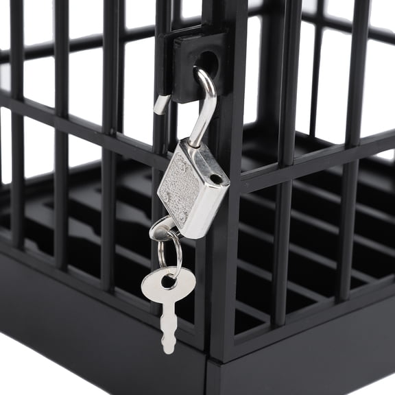 Cell Phone Jail, Lockable Phone Cage For Home, Office Classroom, Funny Gift Idea