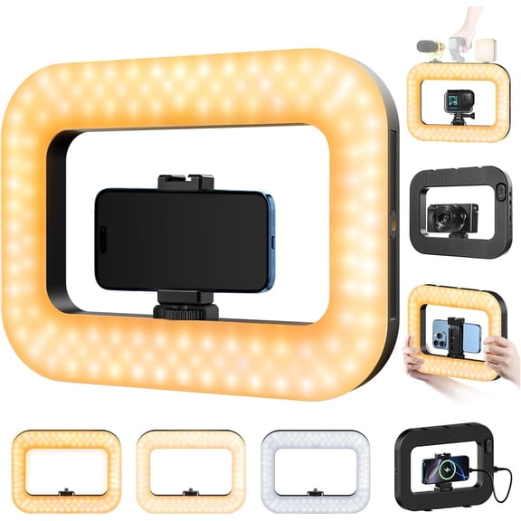 Cell Phone Light for Video Recording, Handheld Phone Stabilizer with Light, 8000mAh LED Selfie Phones Ring Light with Phones Holder, Smartphone Video Rig for Camera, Action Camera, Vlog, TikTok