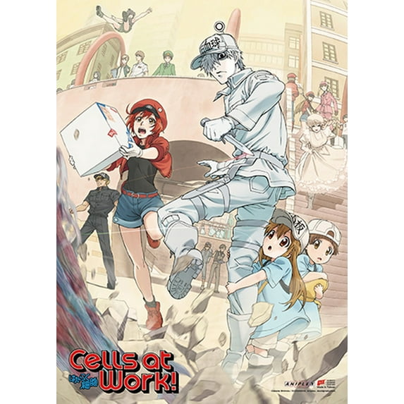 Cells At Work!- Key Art Wall Scroll