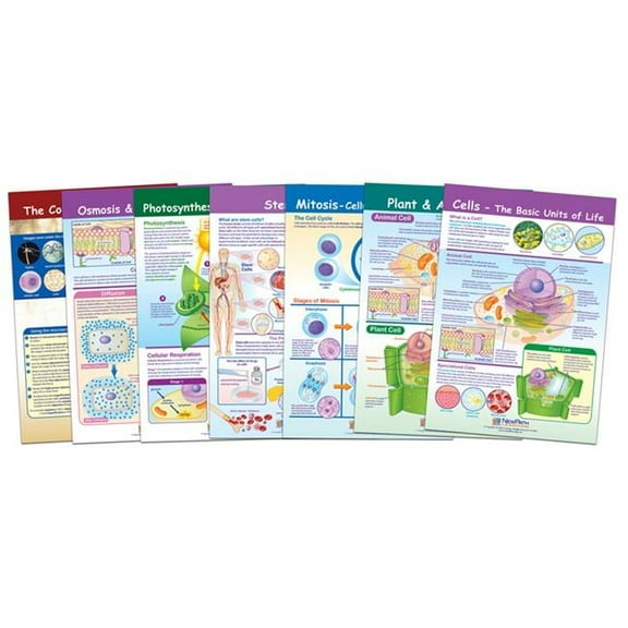 Cells Bulletin Board Chart Set - Set of 7