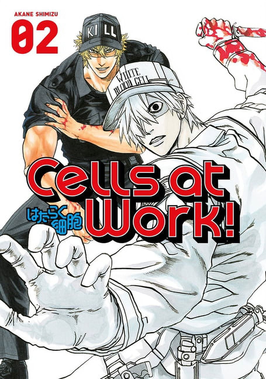 Cells at Work!