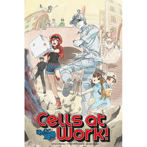 Cells at Work (Season 1) English DVD Box Set