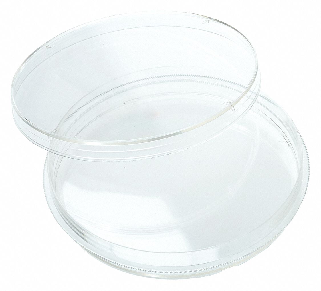 Lot De 5 Boîtes De Petri En Verre Stériles 60x18 Mm - Pour Culture Bactéries, Levures, Usage Scolaire Et Labo - 5