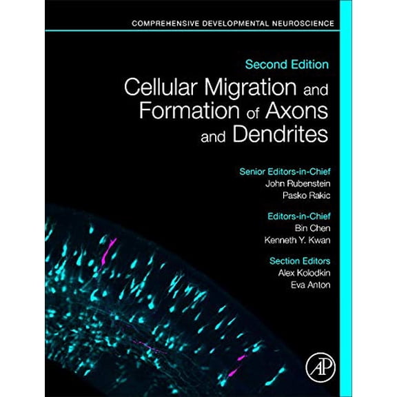 Pre-Owned Cellular Migration and Formation of Axons and Dendrites