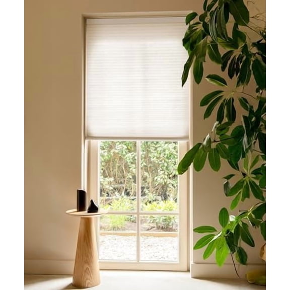 Cellular Shades Cordless, Pull Down Shades for Windows, Honeycomb Blinds 9/16" Cell, Light Filtering, Sugar Swizzle 23"(W) x48(H)$$Home Decor, Kitchen, & Other