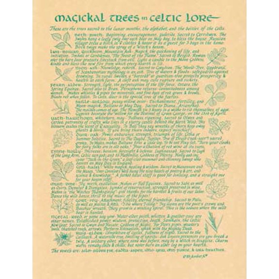 Celtic Trees poster