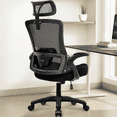 thumbnail image 1 of CELTOSS Ergonomic Office Chair, High Back Flip-Up Armrests Design, Adjustable Mesh Headrest and Lumbar Support, Black, 1 of 14