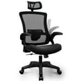 thumbnail image 1 of CELTOSS Ergonomic Office Chair, High Back Flip-Up Armrests Design, Adjustable Mesh Headrest and Lumbar Support, Black, 1 of 13