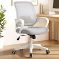 thumbnail image 1 of CELTOSS Ergonomic Home Office Chair, Mid Back Lumbar Support Desk Chair, Adjustable Height with Armrests for Adults, Gray, 1 of 14