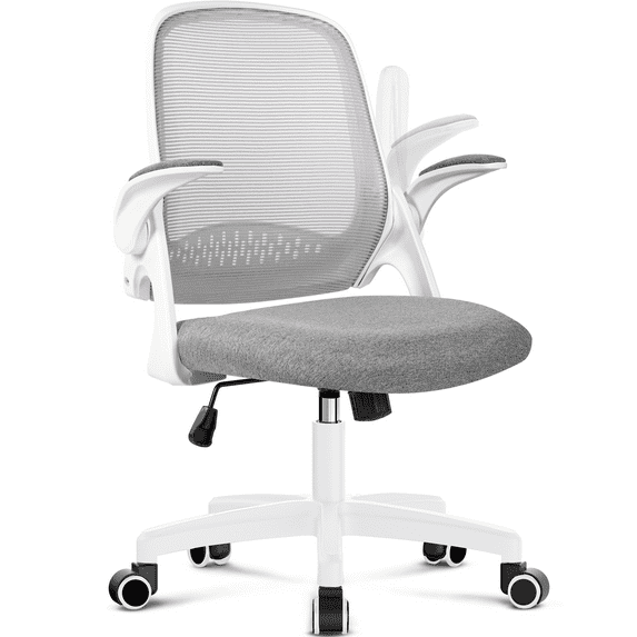 CELTOSS Ergonomic Office Chair, Flip-Up Arms, Adjustable Lumbar Support, Grey