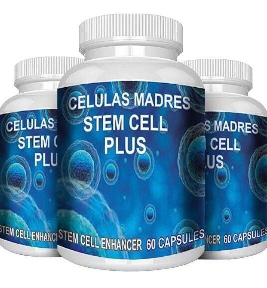 Celulas Madres steam enh-ancer 100% madre cell stem cells immune support - 60 Capsules (Pack of 3)
