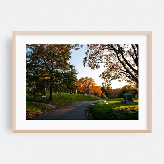 Cemetery Adventures - Brooklyn New York Photography Autumn Scenic Nature Landscape Woodland Gothic Moody Oak Framed Wall Art Print 5 x 7 inches