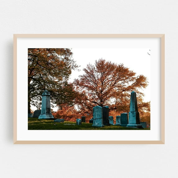 Cemetery Escapes - Brooklyn New York Photography Autumn Gothic Spooky Moody Landscape Rustic Oak Framed Wall Art Print 16 x 24 inches