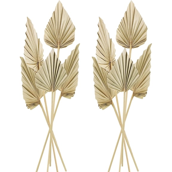 Cenkaiyang 10 Pcs Boho Dried Palm Spears Leaves, Real Palm Fans with Stem, Boho Home Decor for Vase, Wedding, Office, Home