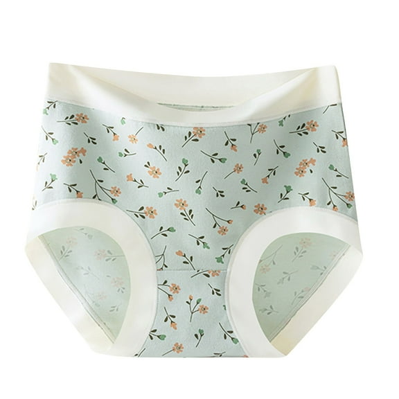 Censtreet 2 Pcs Womens Underwear Cotton Tummy Control High Waisted Underwear Soft Breathable Full Coverage Panties