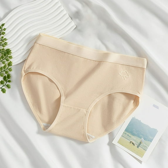 Censtreet Womens Seamless Underwear Cotton Hipster Panties Regular & Plus Size Breathable Ladies Panties