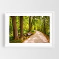 thumbnail image 1 of Centennial Park - Ellicott City Maryland Photography Forest Nature Scenic Landscape Rural Summer White Framed Wall Art Print 5 x 7 inches, 1 of 3