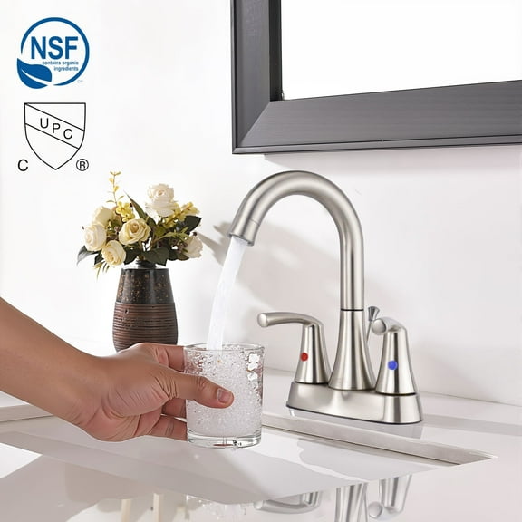 Centerset 2-Handle Bathroom Sink Faucet With Drain Assembly