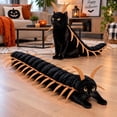 thumbnail image 1 of Centipede Cat Costume, Halloween Adjustable Pet Outfit，Funny Pet Outfit, Scary Shape Suit for Party, Dress‑up, Photo Shoot(gold), 1 of 5