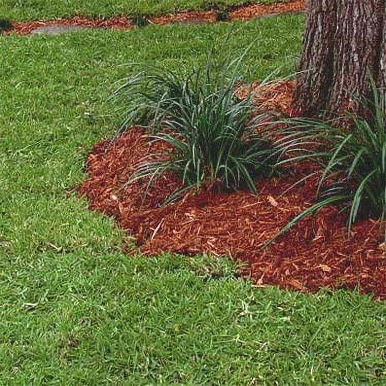 Centipede Grass Seed - Warm Climate Grass Seed - 1 LB - Coated