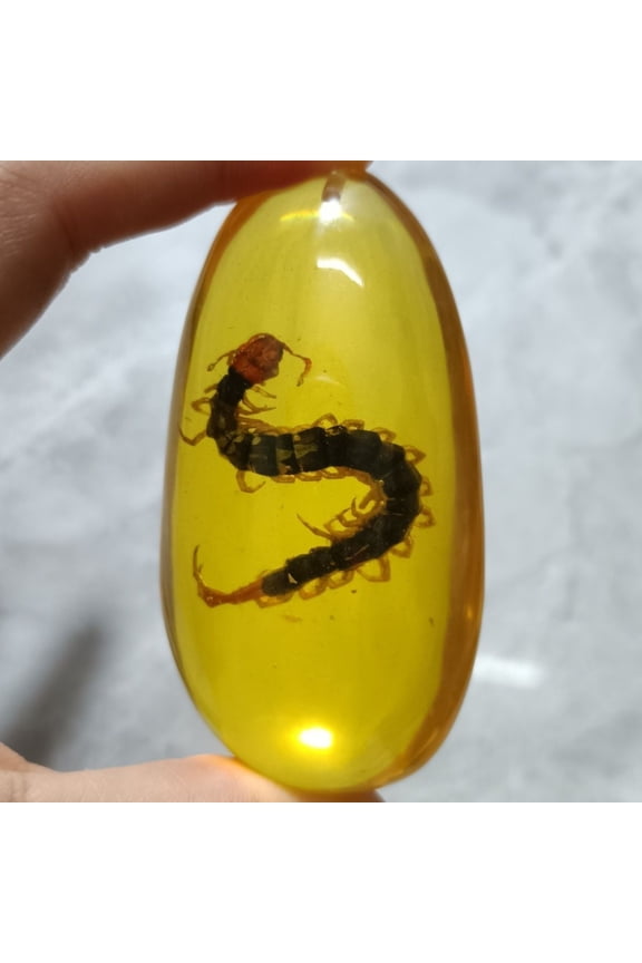 Centipede Insect Pendant Amber Style Single Pendant Jewelry Accessory for Men Women Nature Inspired Unisex Charm