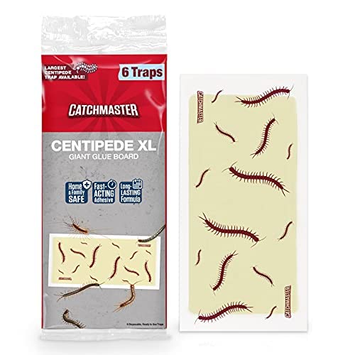 Centipede XL by Catchmaster 6 Glue Traps, Ready to Use Indoors