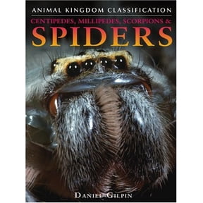 Pre-Owned Centipedes, Millipedes, Scorpions & Spiders (Animal Kingdom Classification) (Unknown) 0756512549 9780756512545
