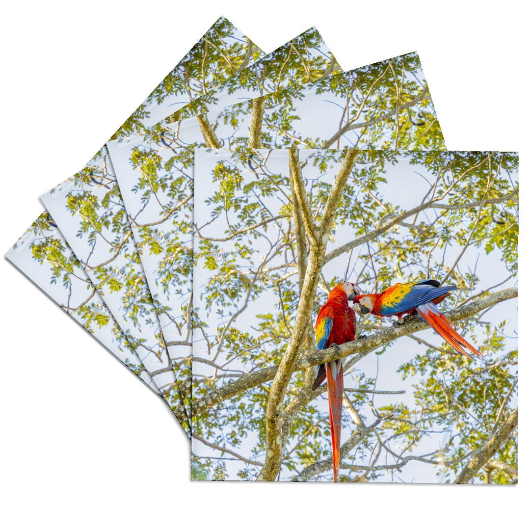 3drose, Central America, Costa Rica. Scarlet Macaw Pair in Tree, Set of ...