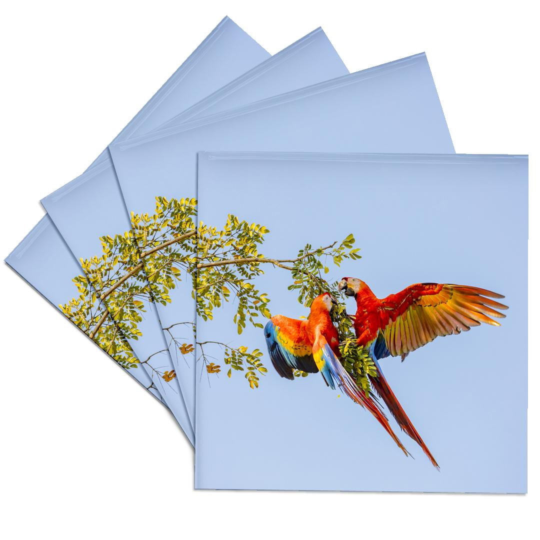 3drose, Central America, Costa Rica. Scarlet Macaw Pair in Tree., Set ...