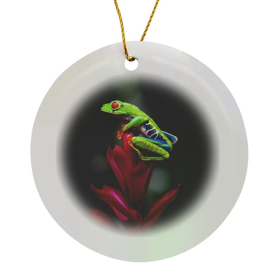 3drose, Central America - Red-eyed Tree Frog. Sarapiqui., Circle Porcelain Ornament