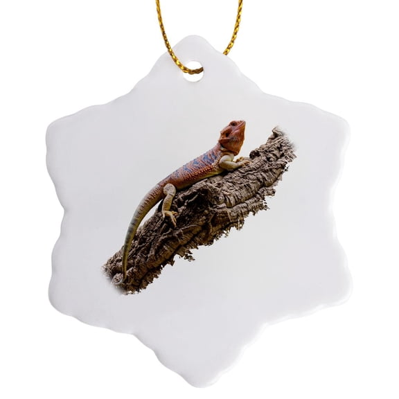 3drose, Central Bearded Dragon Lizard Reptile Pogona Vitticeps on Branch, 3 inch Snowflake Porcelain Ornament