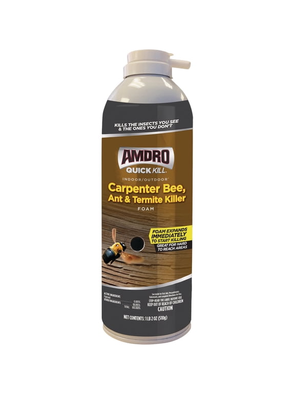 Garden Excel / Lilly Miller Amdro Quick Kill Carpenter Bee, Ant, & Termite Killer Foam - Pack of 2