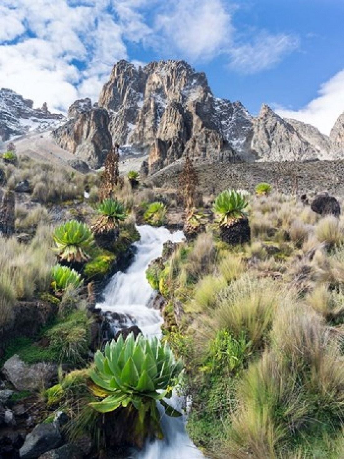 Central Mount Kenya National Park Kenya Canvas Art - Martin Zwick DanitaDelimont (18 x 24)