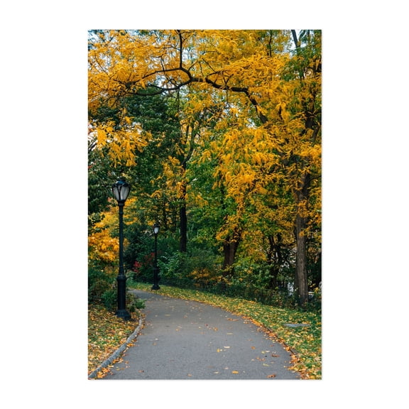 Central Park Autumn 03 - Manhattan New York Photography Unframed Wall Art Print 20 x 30 inches