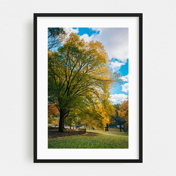 Central Park Autumn 04 - Manhattan New York Photography Black Framed Wall Art Print 20 x 30 inches