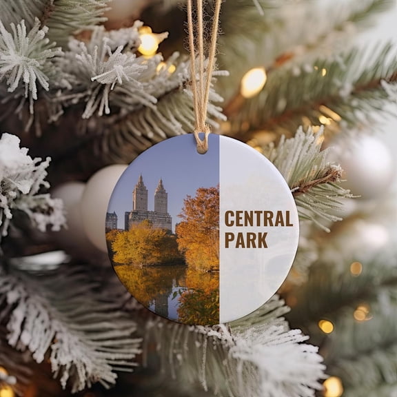 Central Park Christmas Ornament, Central Park Gift, Central Park Travel, Christmas Decor, Central Park Souvenir Xtjlad (Central Park-62TH33)