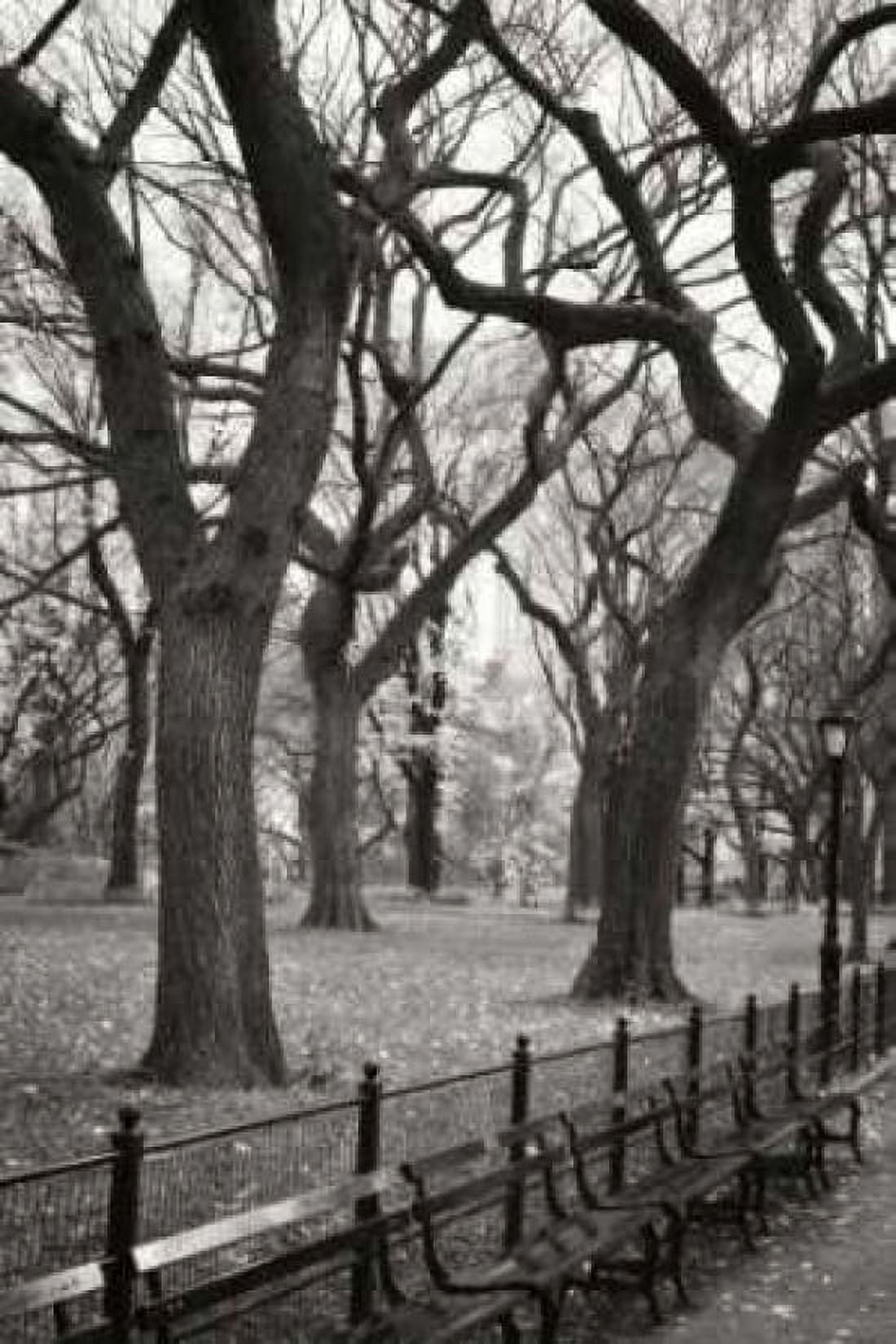 Central Park Dancers I Canvas Art - Geyman Vitaly (12 x 18)
