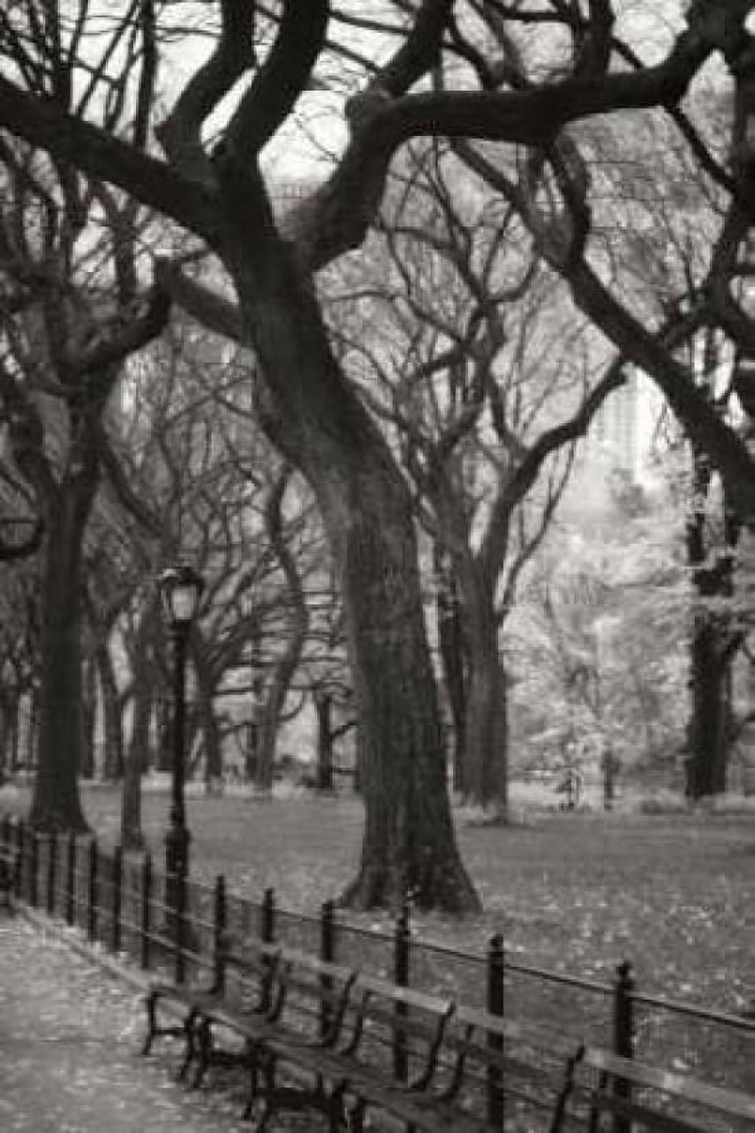 Central Park Dancers II Canvas Art - Geyman Vitaly (24 x 36)