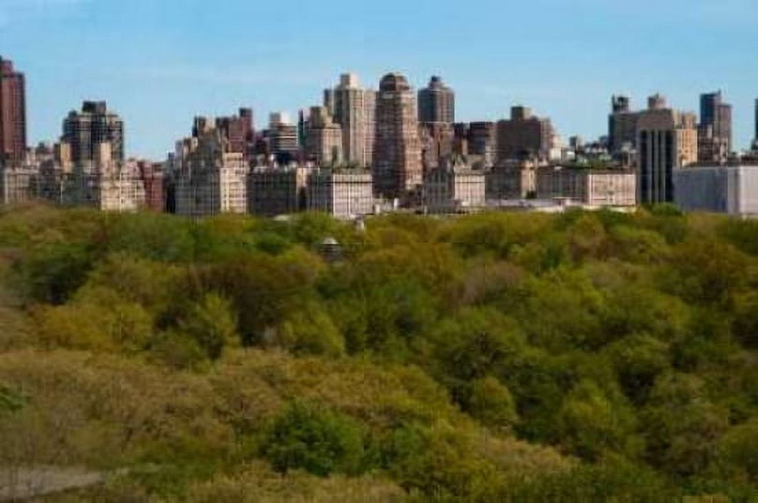 Central Park II Canvas Art - Erin Berzel (20 x 28)