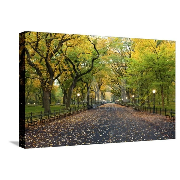 Central Park Image of the Mall Area in Central Park, New York City, USA at Autumn, Scenic Stretched Canvas Wall Art by Rudy Balasko Sold by Art.Com