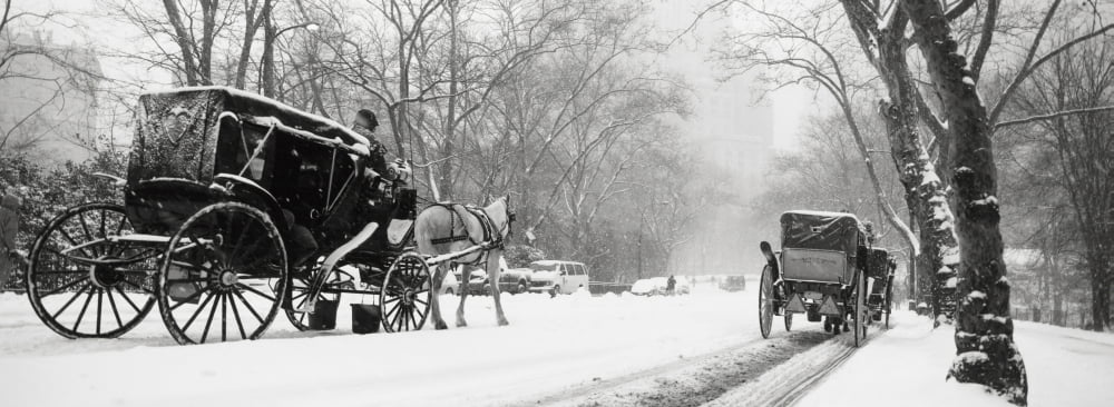 Central Park In Falling Snow Canvas Art - Anna Watson Design Pics (44 x 16)