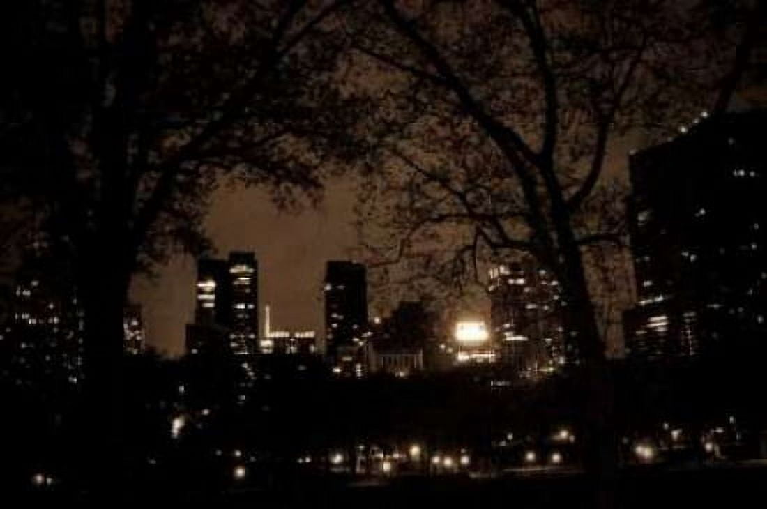 Central Park at Night I Canvas Art - Erin Berzel (20 x 28)
