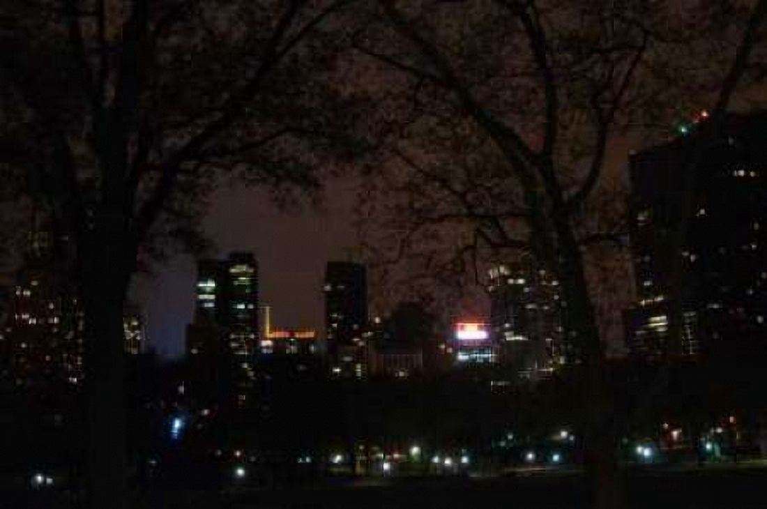 Central Park at Night II Canvas Art - Erin Berzel (20 x 28)