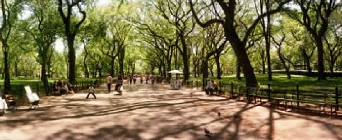 Central Park in the spring time New York City New York State USA Canvas Art - Panoramic Images (15 x 6)