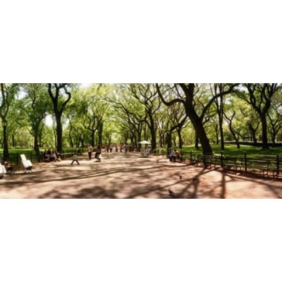 Central Park in the spring time New York City New York State USA Canvas Art - Panoramic Images (15 x 6)