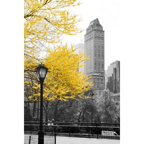 Art.com Central Park with Yellow Tree Photographic Print by Emily Navas, 12" x 18"